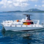 CATAMARAN EXPERIENCE 1001992794